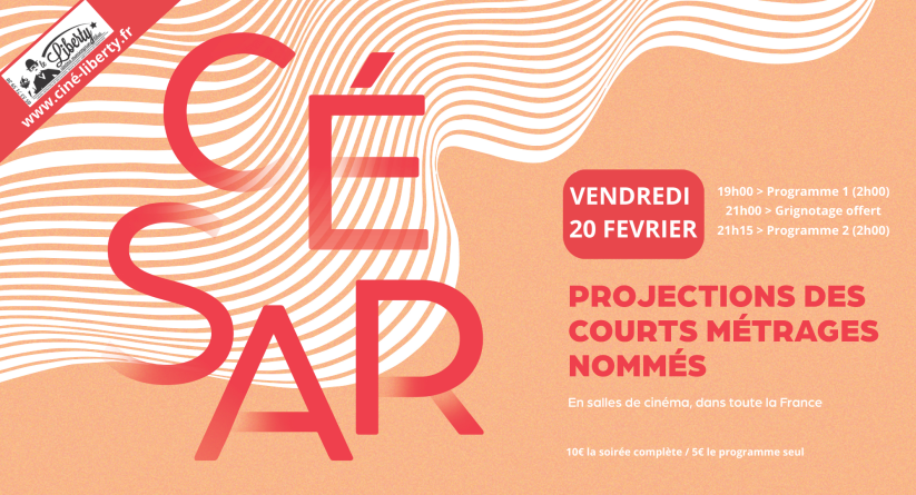 court cesar 2026be999