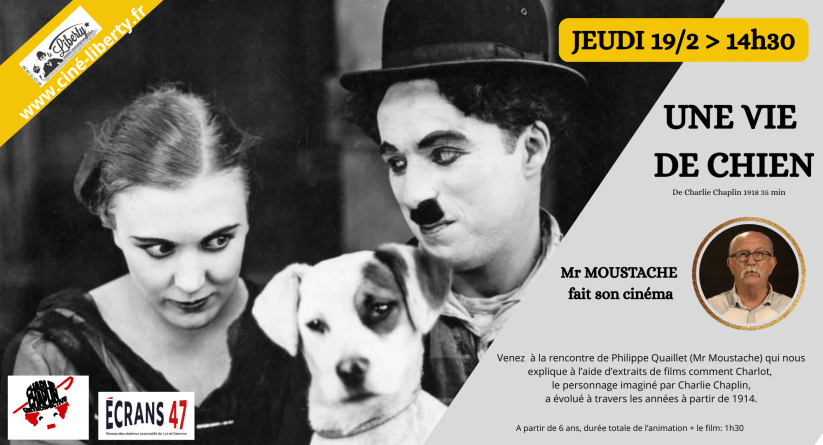 une vie de chien car37baa