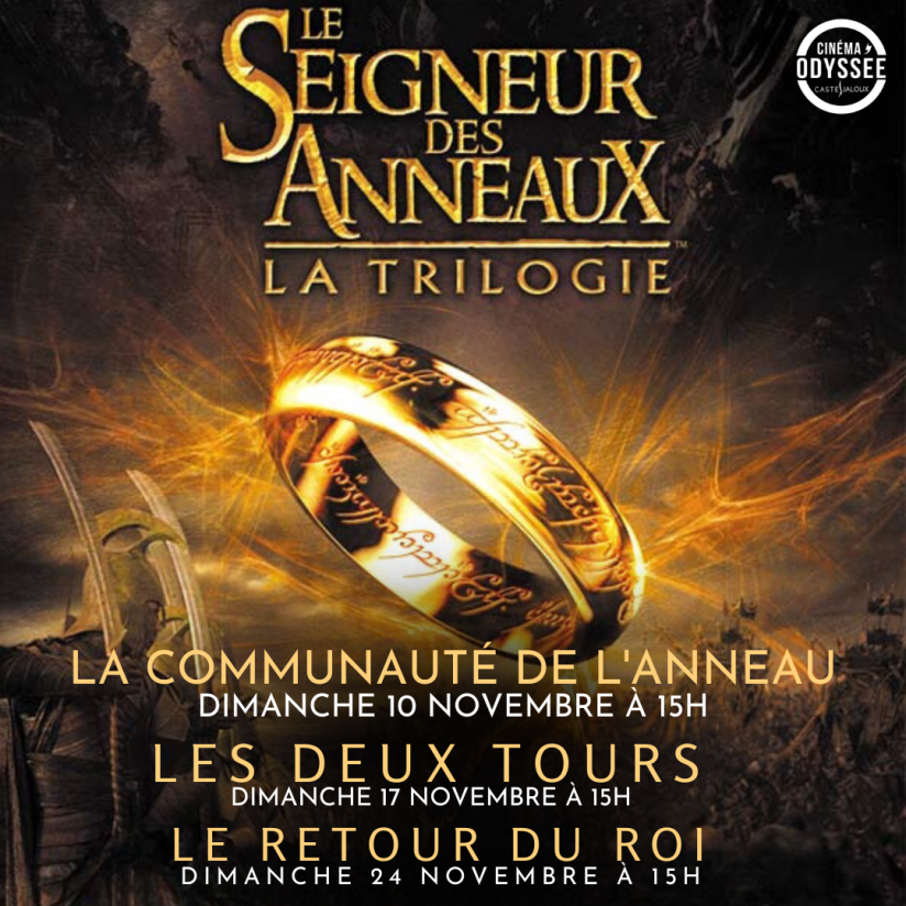 Seigneur des anneaux